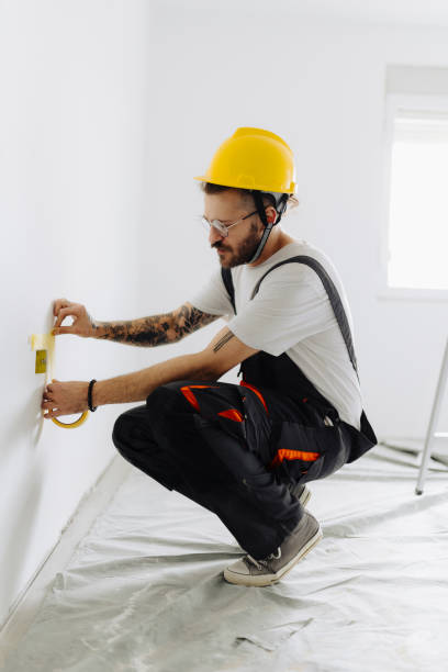 Best Ceiling Drywall Installation  in Pembroke, GA